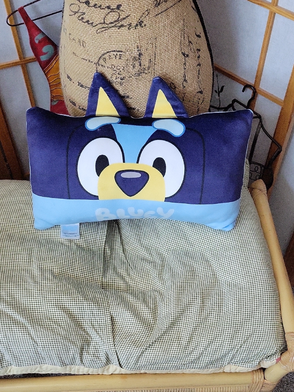 Bluey throw pillow